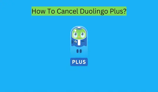 How To Cancel Duolingo Plus?